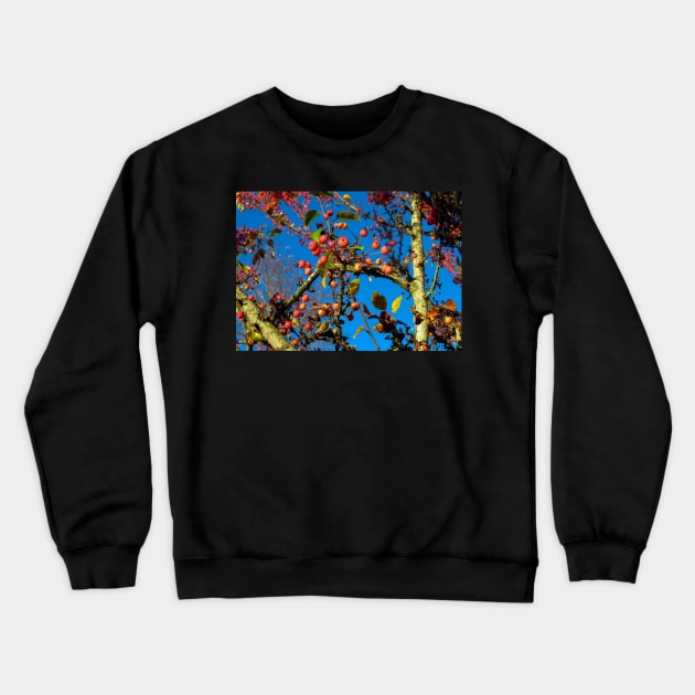 Crab Apples Against Bright Blue Sky Crewneck Sweatshirt by SeaChangeDesign